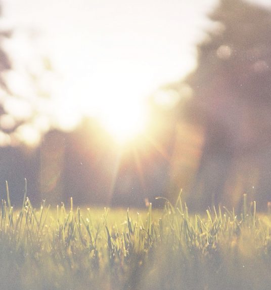 Summertime Activities for Seniors