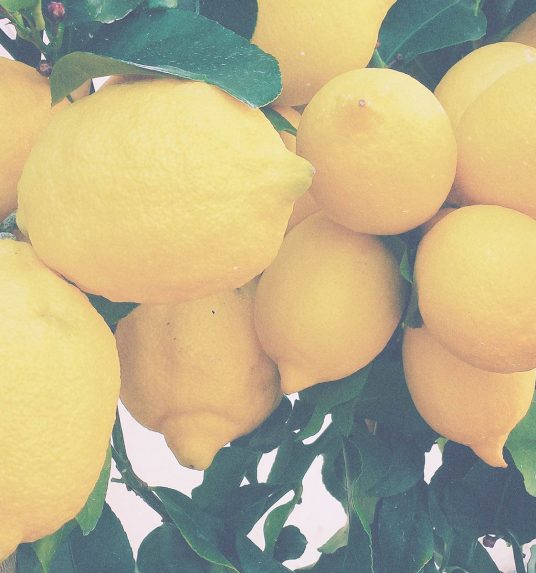 an example of a healthy food source for seniors